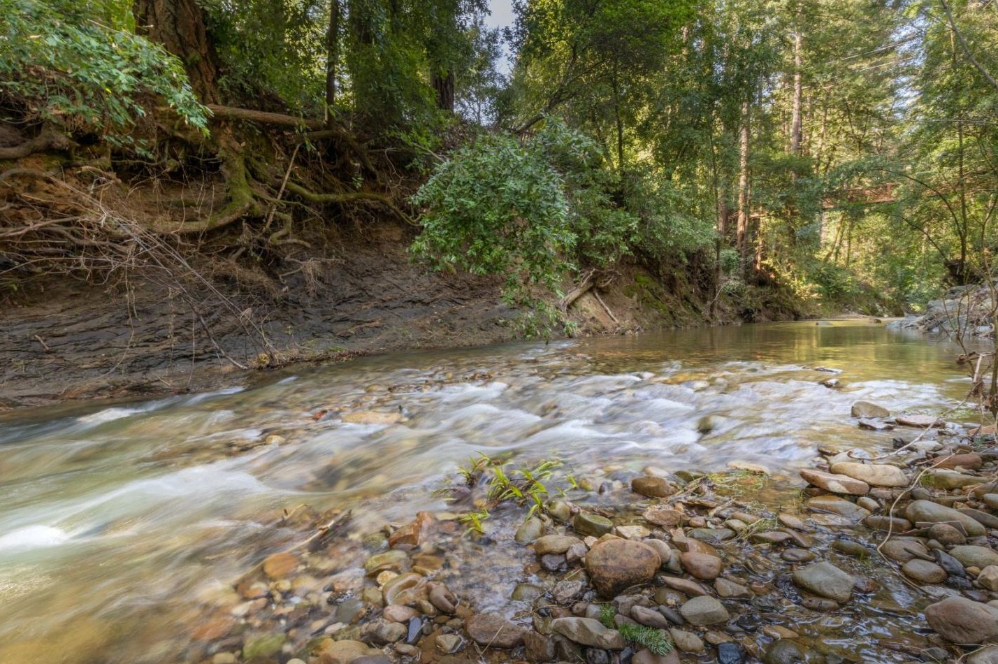 185 Spring Creek Rd, Big Basin CA  95006-8814 exterior