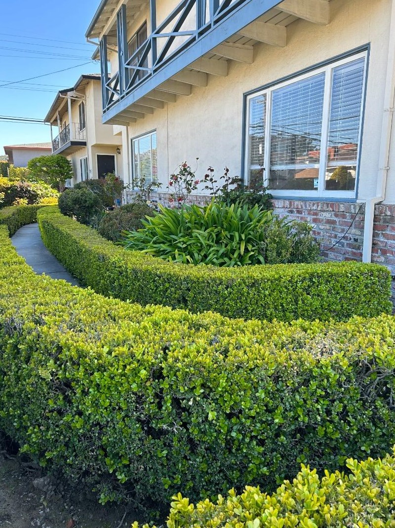 2728 Flores St, San Mateo CA  94403-2423 exterior