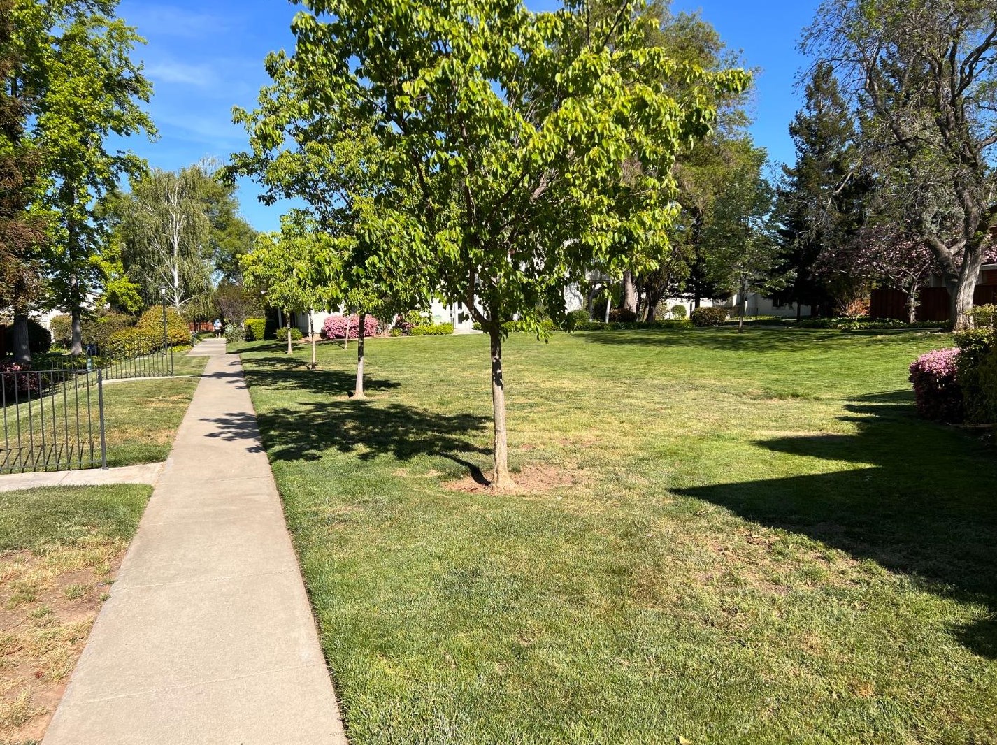 10981 Northsky Sq, Cupertino CA  95014-0538 exterior