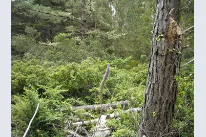 700 Cedar St., Montara, CA 94037 - Photo 7