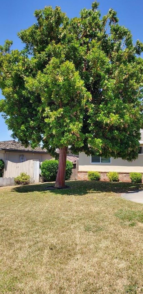 1961 Valley View Rd, Hollister CA  95023-5861 exterior