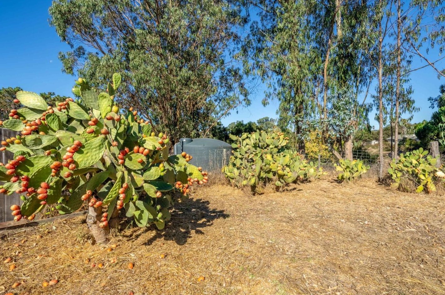 8645 Archer Rd, Salinas CA  93907-8791 exterior