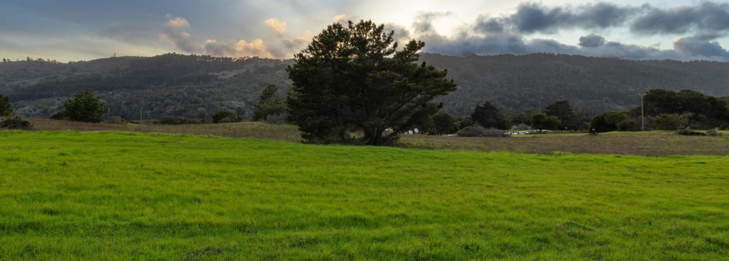 1636 Lexington Ave, San Mateo CA  94402-3836 exterior