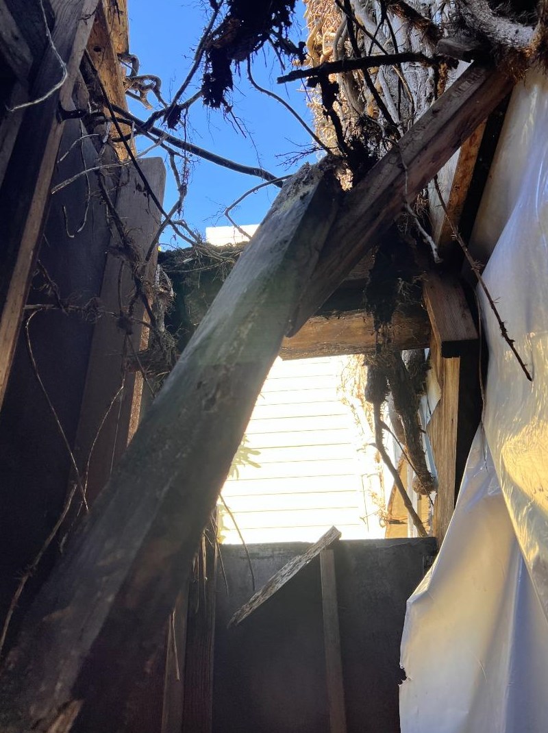 372 Moultrie St, San Francisco CA  94110-5619 exterior