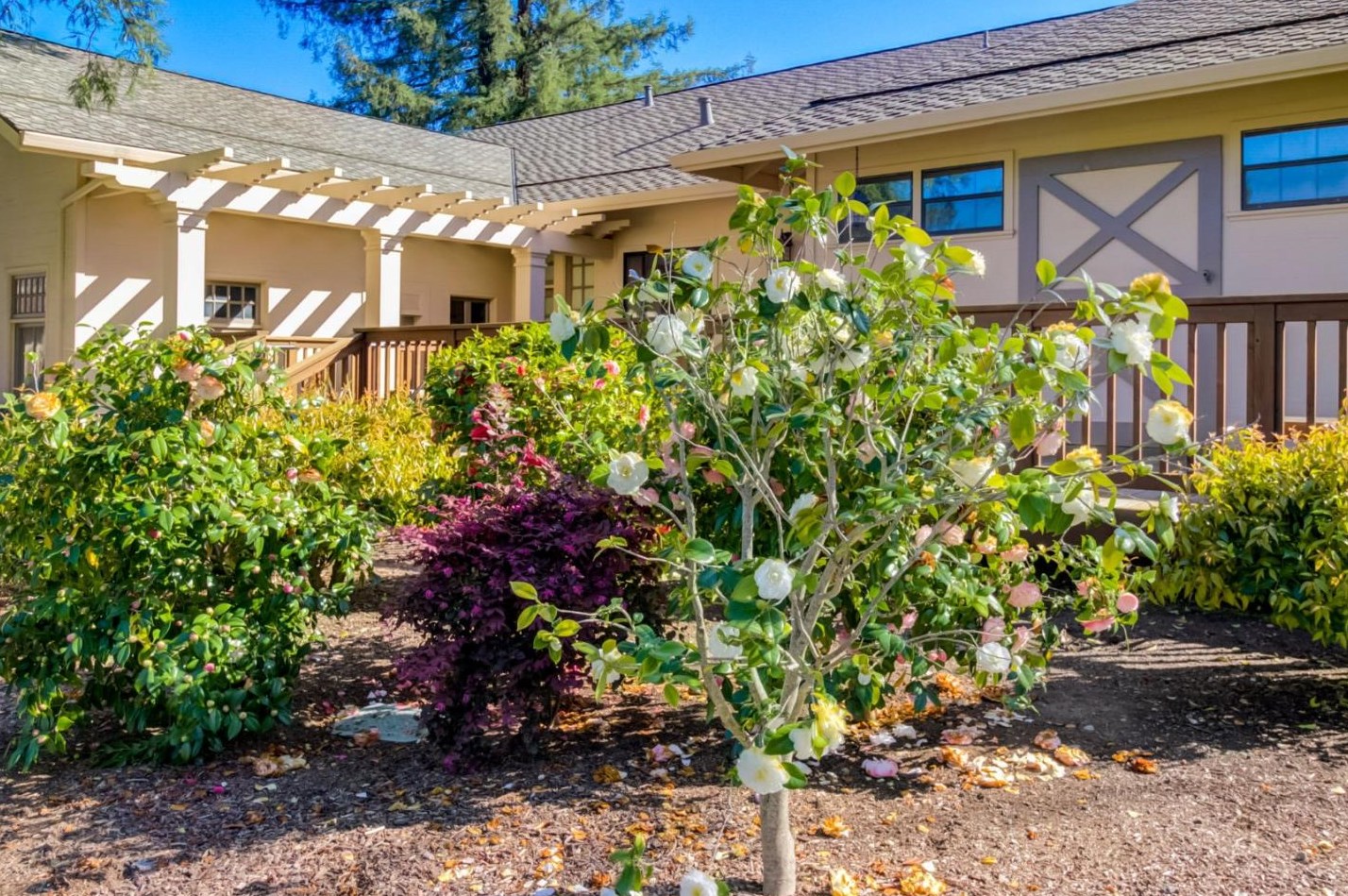 11012 Canyon Vista Dr, Cupertino CA  95014-5405 exterior
