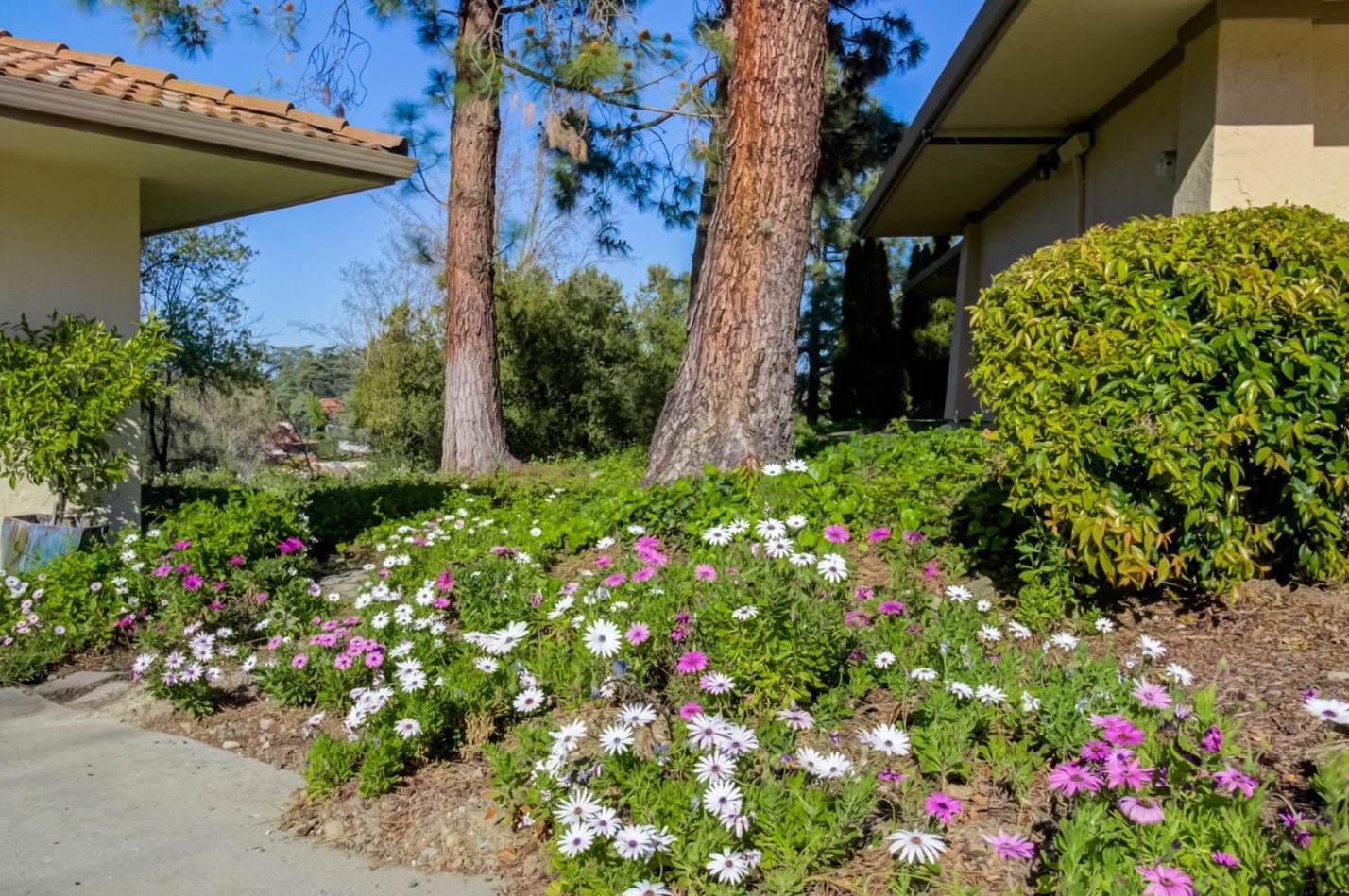 11012 Canyon Vista Dr, Cupertino CA  95014-5405 exterior