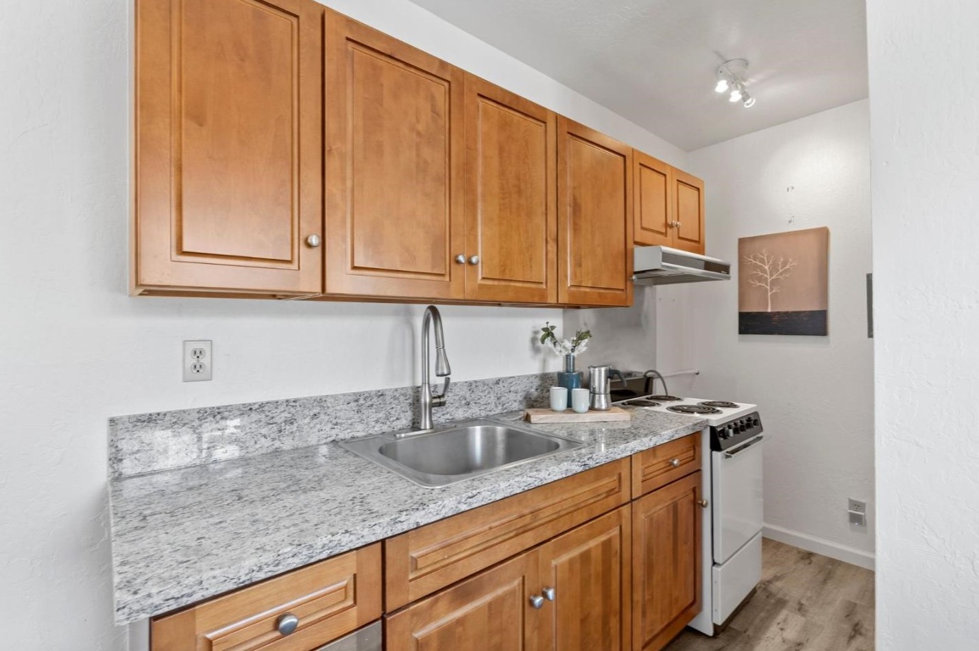 1151 Cleveland St, Redwood City CA  94061-2234 exterior