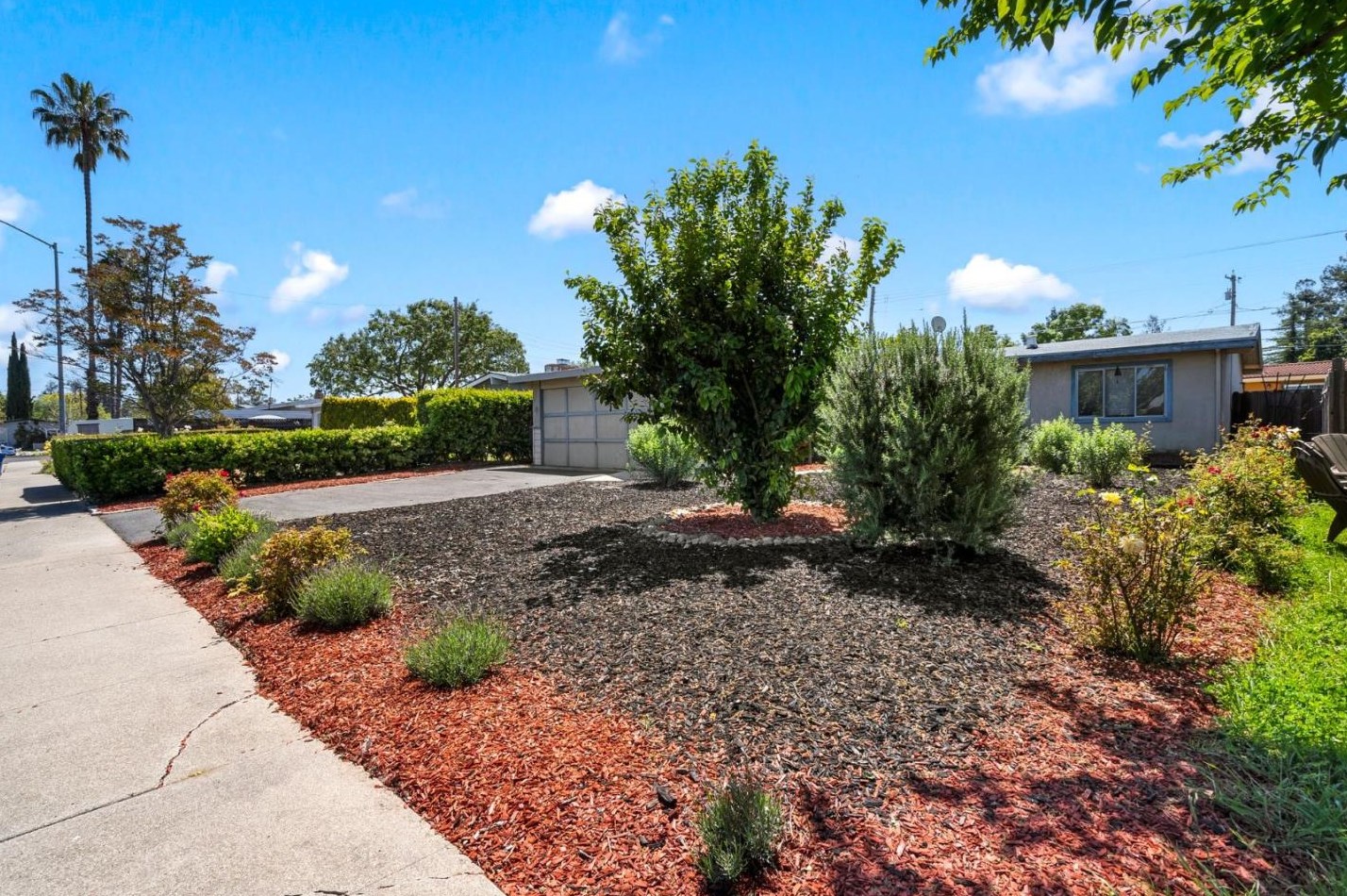 684 Buddlawn Way, Campbell CA  95008-3914 exterior