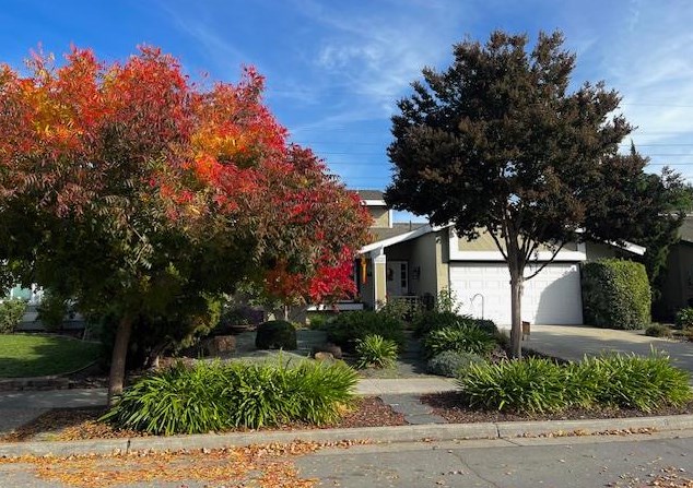 6514 Hercus Ct, San Jose CA  95119-1916 exterior