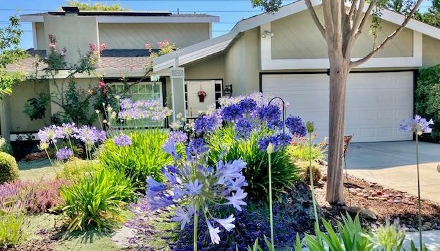 6514 Hercus Ct, San Jose CA  95119-1916 exterior