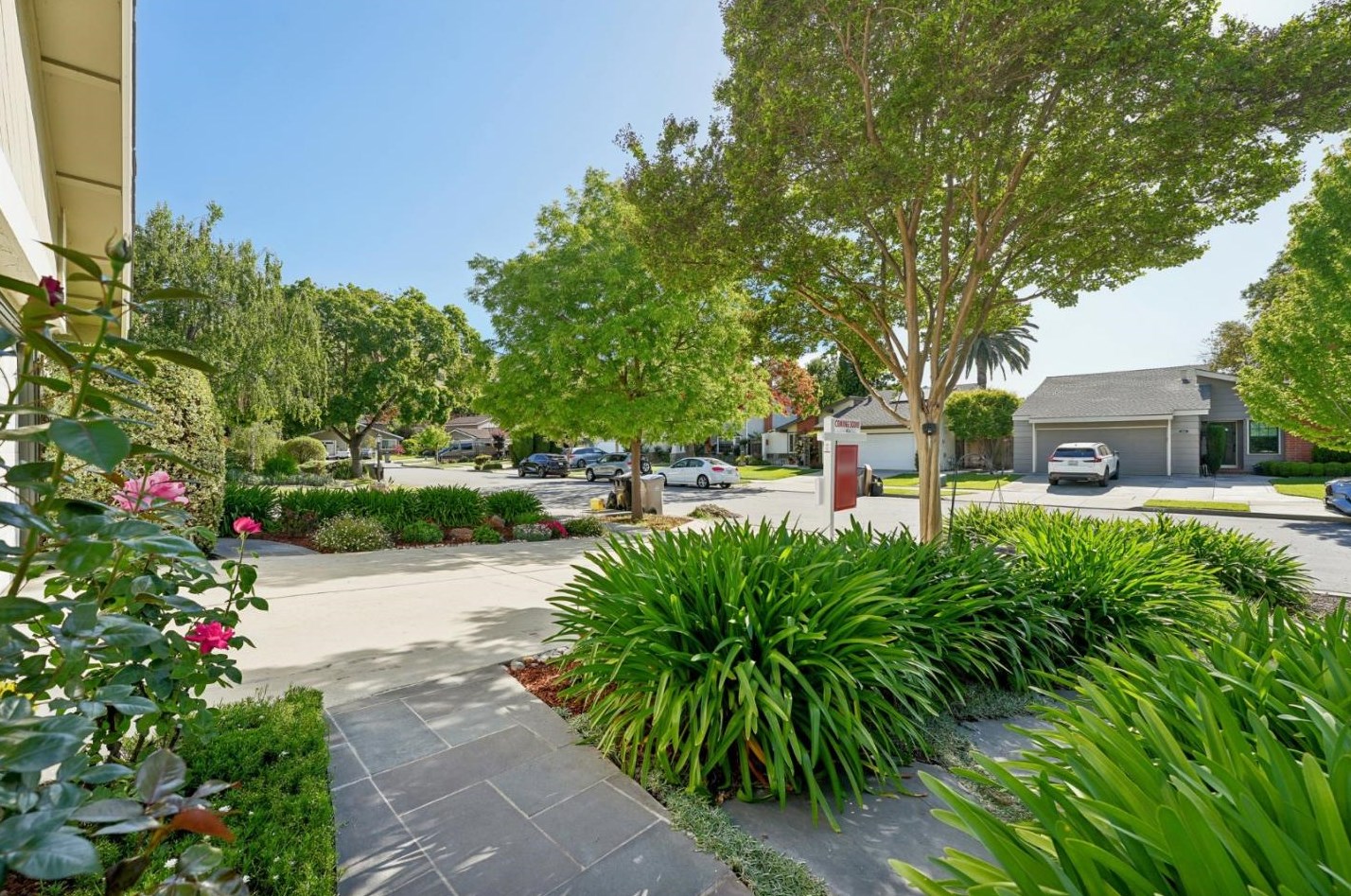6514 Hercus Ct, San Jose CA  95119-1916 exterior