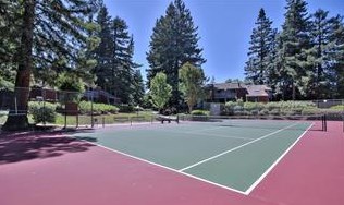 505 Cypress Point Dr, Mountain View CA  94043-4864 exterior