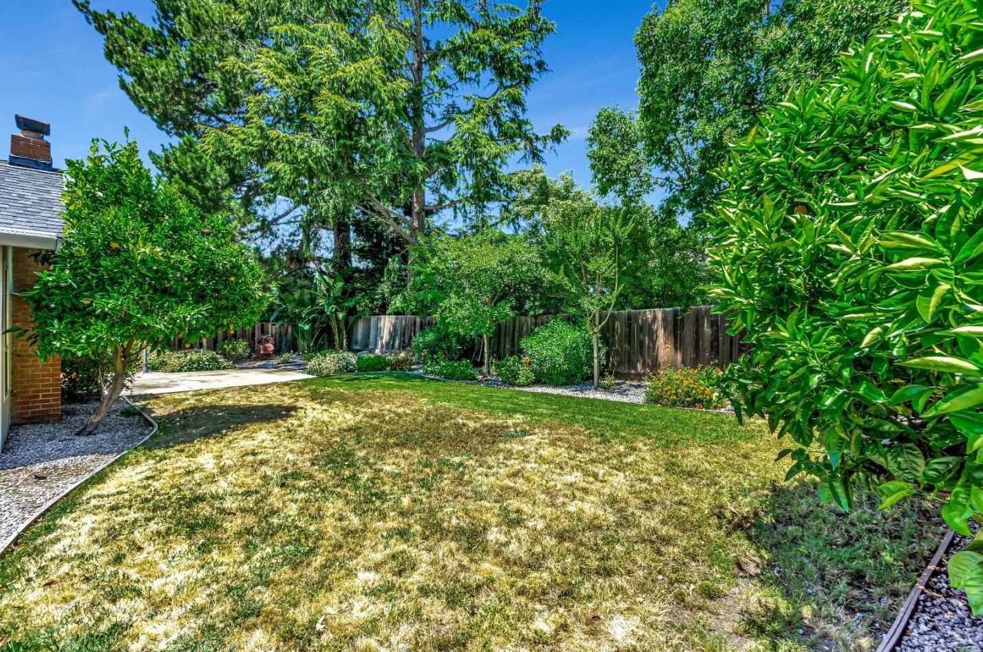 3424 Tupelo Dr, Walnut Creek CA  94598-2741 exterior