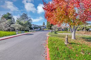 203 Vista Prieta Ct, Santa Cruz, CA 95062 - Photo 9
