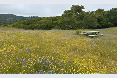 8 Corral Run, Carmel, CA 93923 - Photo 3