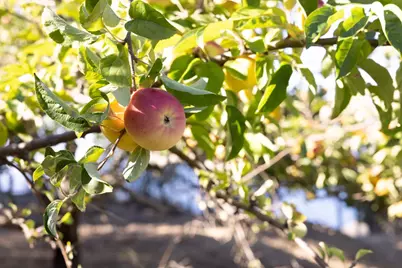 47320 Highway 1, Big Sur, CA 93920 - Photo 39