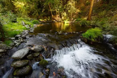 161 &amp; 181 Aufderwood Ln, Brookdale, CA 95007 - Photo 11