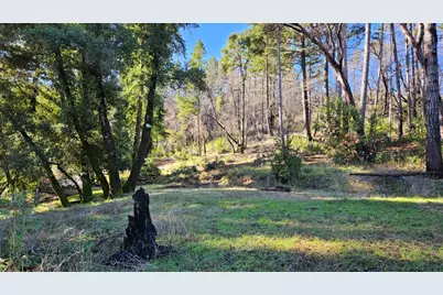 360 Wildberry Dr, Boulder Creek, CA 95006 - Photo 13