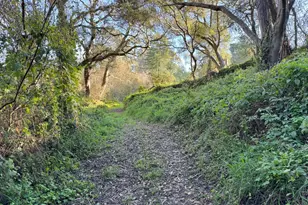 2603 Monterey Ave, Soquel, CA 95073 - Photo 19