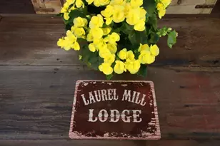 16770 Redwood Lodge Rd, Los Gatos, CA 95033 - Photo 67