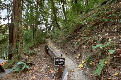 16770 Redwood Lodge Rd, Los Gatos, CA 95033 - Photo 61