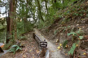 16770 Redwood Lodge Rd, Los Gatos, CA 95033 - Photo 61