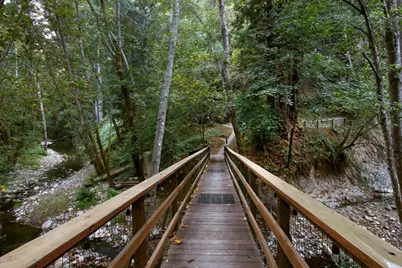 16770 Redwood Lodge Rd, Los Gatos, CA 95033 - Photo 33