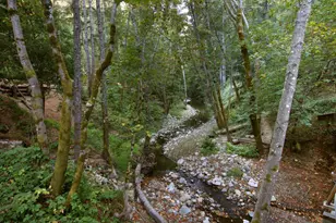 16770 Redwood Lodge Rd, Los Gatos, CA 95033 - Photo 43