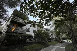 8227 Shelter Creek Ln, San Bruno, CA 94066 - Photo 39