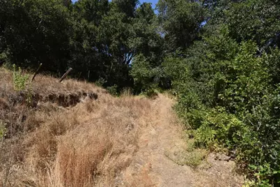 443A Alexander Ln, San Juan Bautista, CA 95045 - Photo 55