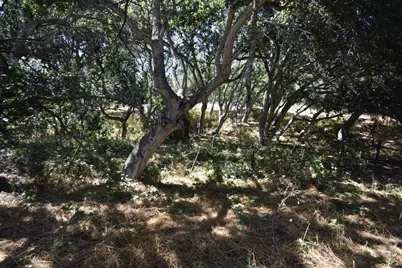 443A Alexander Ln, San Juan Bautista, CA 95045 - Photo 47