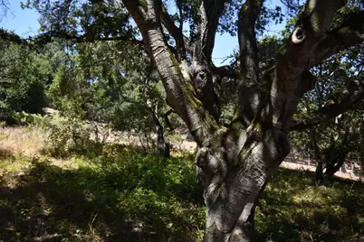 443A Alexander Ln, San Juan Bautista, CA 95045 - Photo 11