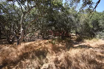 443A Alexander Ln, San Juan Bautista, CA 95045 - Photo 37