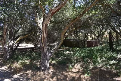 443A Alexander Ln, San Juan Bautista, CA 95045 - Photo 13