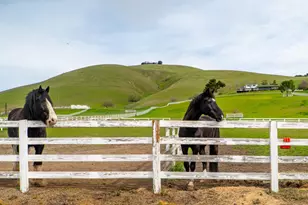 6033 Dagnino Rd, Livermore, CA 94551 - Photo 91