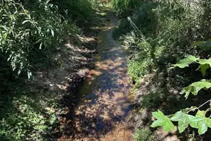 13160 Cienega Rd, Hollister, CA 95023 - Photo 7