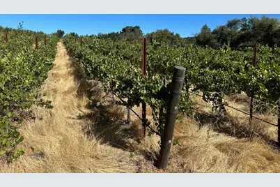 13160 Cienega Rd, Hollister, CA 95023 - Photo 11