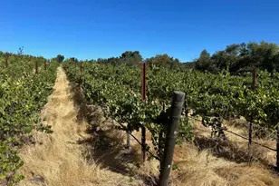 13160 Cienega Rd, Hollister, CA 95023 - Photo 11