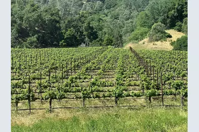 13160 Cienega Rd, Hollister, CA 95023 - Photo 21