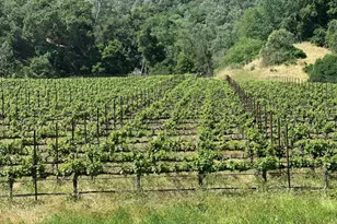 13160 Cienega Rd, Hollister, CA 95023 - Photo 21