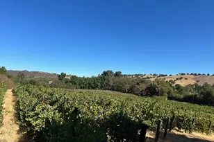 13160 Cienega Rd, Hollister, CA 95023 - Photo 7