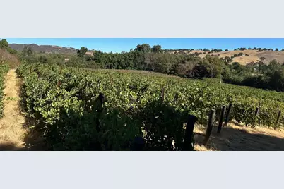 13160 Cienega Rd, Hollister, CA 95023 - Photo 5