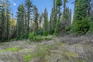 21200 Big Basin Wy, Boulder Creek, CA 95006 - Photo 25