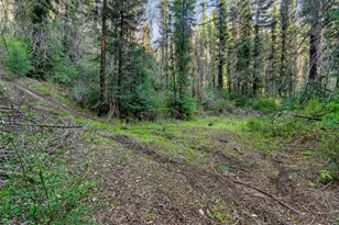 21200 Big Basin Wy, Boulder Creek, CA 95006 - Photo 15