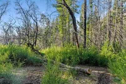 21200 Big Basin Way, Boulder Creek, CA 95006 - Photo 11