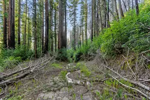 21200 Big Basin Wy, Boulder Creek, CA 95006 - Photo 19