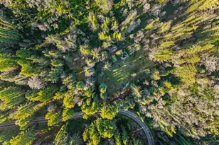 21200 Big Basin Wy, Boulder Creek, CA 95006 - Photo 31