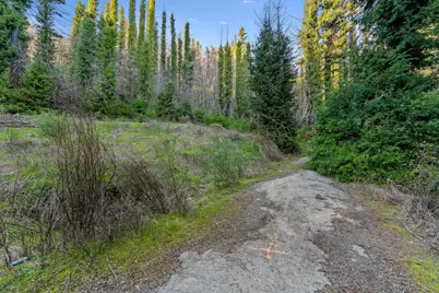 21200 Big Basin Way, Boulder Creek, CA 95006 - Photo 5