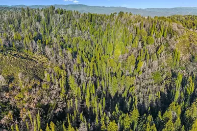 21200 Big Basin Way, Boulder Creek, CA 95006 - Photo 29