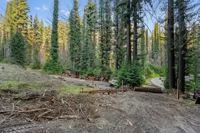 21200 Big Basin Way, Boulder Creek, CA 95006 - Photo 13